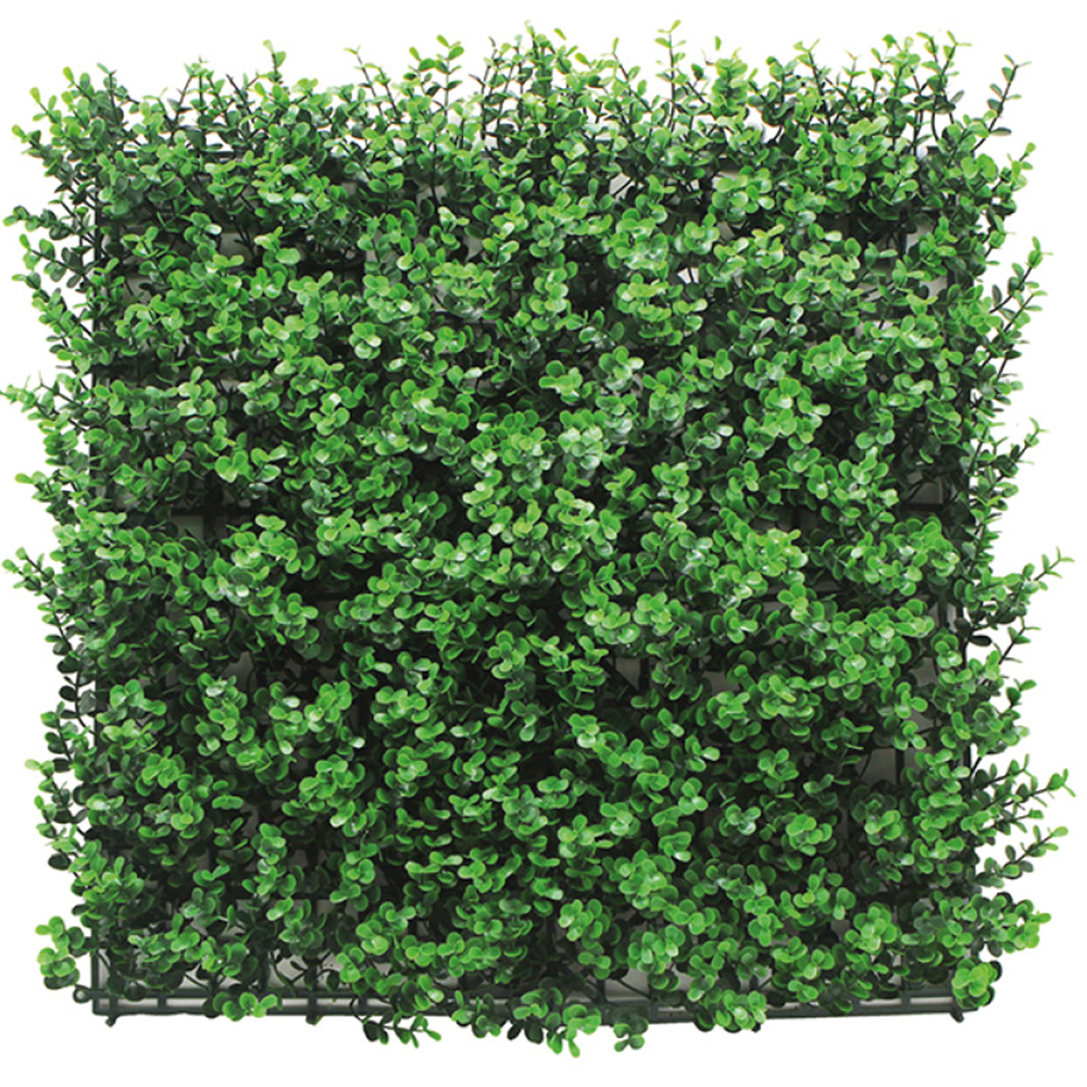 Jardin Vertical 50x50 Buxus Green