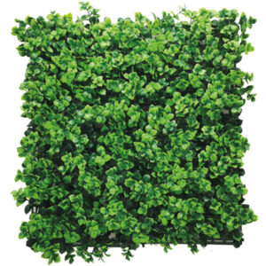 Jardin Vertical 50x50 Pachysandra Green
