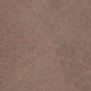 Cubrepiso Funny 4mts Beige