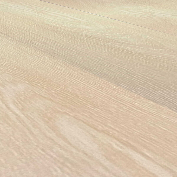 SPC Gravity Roble Arena