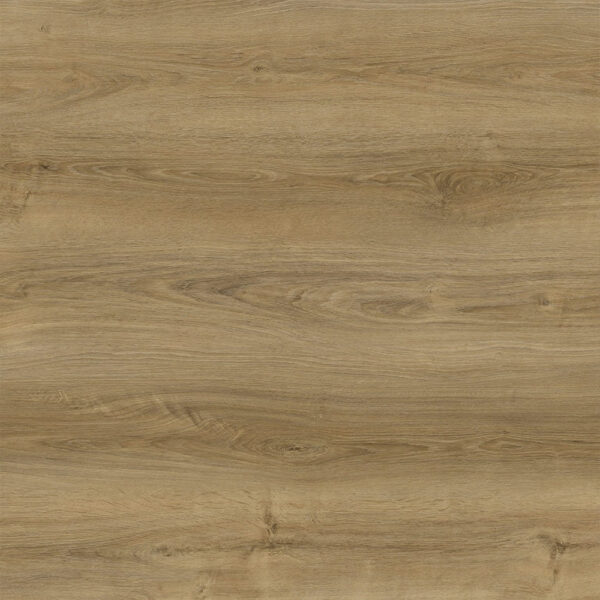 SPC Primary Maple