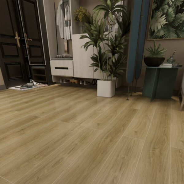 SPC Primary Maple - Imagen 2
