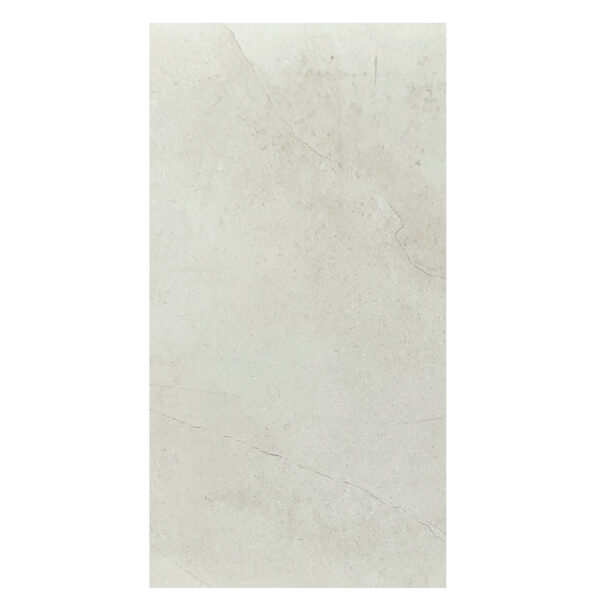 Vega Ice Matt 60x120 - Imagen 2