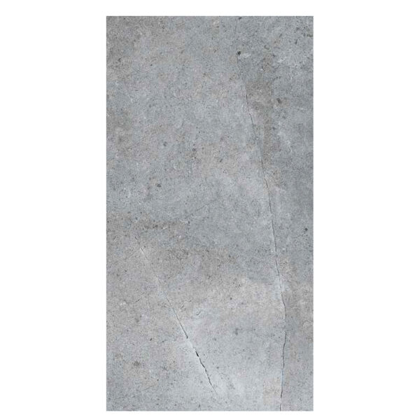 Vega Coal Matt 60x120 Im - Imagen 2