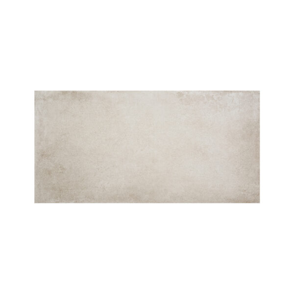Lecco Gris Mate 30x60 - Imagen 2