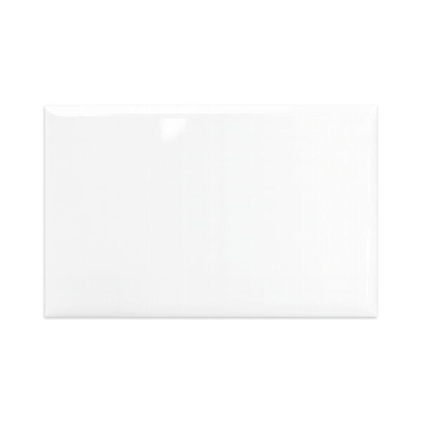 Blanco Brillante 25x40 - Imagen 2