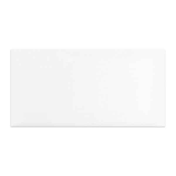 Blanco Mate 30x60 New - Imagen 2